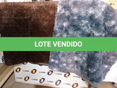 LOTE 147 - 08 – TAPETES DIVERSOS (NO ESTADO, NÃO SABEMOS SE FUNCIONA. LEILÃO NÃO TEM GARANTIA E NEM DEVOLUÇÃO, SUJEITO A POSSÍVEIS AVARIAS VISÍVEIS/OCULTAS E/OU AUSÊNCIA DE COMPONENTES)