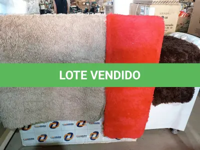 LOTE 147 - 08 – TAPETES DIVERSOS (NO ESTADO, NÃO SABEMOS SE FUNCIONA. LEILÃO NÃO TEM GARANTIA E NEM DEVOLUÇÃO, SUJEITO A POSSÍVEIS AVARIAS VISÍVEIS/OCULTAS E/OU AUSÊNCIA DE COMPONENTES)