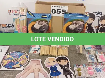 LOTE 055 - 30 – ITENS DIVERSOS (NO ESTADO, NÃO SABEMOS SE FUNCIONA. LEILÃO NÃO TEM GARANTIA E NEM DEVOLUÇÃO, SUJEITO A POSSÍVEIS AVARIAS VISÍVEIS/OCULTAS E/OU AUSÊNCIA DE COMPONENTES)