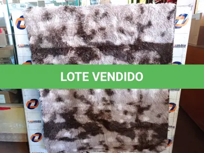 LOTE 236 - 05 – TAPETES DIVERSOS (NO ESTADO, NÃO SABEMOS SE FUNCIONA. LEILÃO NÃO TEM GARANTIA E NEM DEVOLUÇÃO, SUJEITO A POSSÍVEIS AVARIAS VISÍVEIS/OCULTAS E/OU AUSÊNCIA DE COMPONENTES)