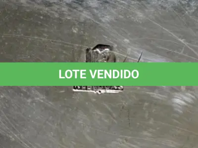LOTE 165 - LOTE COM VINTE PEÇAS DIVERSAS ESPESSURADA À PRATA. VÁRIOS TAMANHOS O MAIOR 28 CM DA (NO ESTADO)