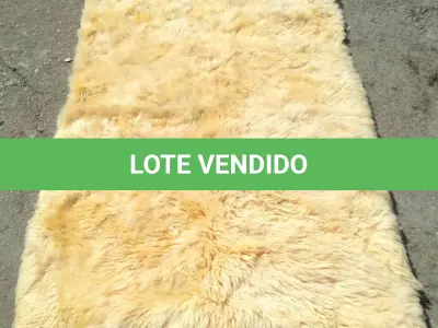 LOTE 171 - TAPETE IMPORTADO PELE DE CORDEIRO LEGITIMO, COR BRANCA, COM FORRO EM ALGODÃO,150X100 CM. (NO ESTADO)