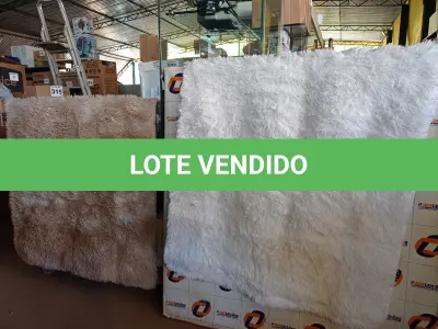 LOTE 236 - 05 – TAPETES DIVERSOS (NO ESTADO, NÃO SABEMOS SE FUNCIONA. LEILÃO NÃO TEM GARANTIA E NEM DEVOLUÇÃO, SUJEITO A POSSÍVEIS AVARIAS VISÍVEIS/OCULTAS E/OU AUSÊNCIA DE COMPONENTES)