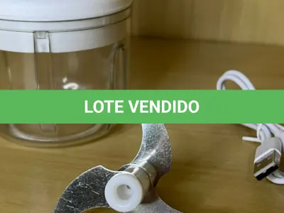 LOTE 024 - 01 TRITURADOR DE ALIMENTOS ELÉTRICO(NO ESTADO)