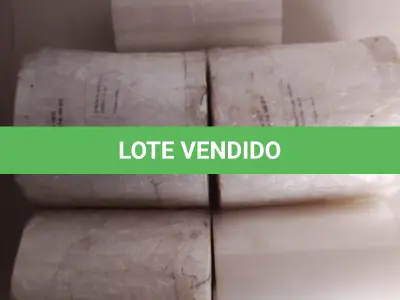 LOTE 428 - 01 PLASTIFICADORA FUNCIONA ATE O MOMENTO (NO ESTADO)