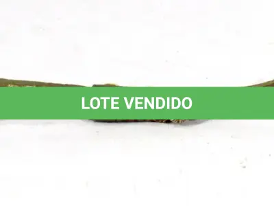 LOTE 220 - DOIS PUNHAIS EM BRONZE,18CM (FALTAM ALGUMAS PEDRAS) (NO ESTADO)