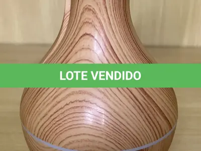 LOTE 053 - 01 UMIDIFICADOR DE AR E AROMATIZADOR(NO ESTADO)