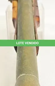 LOTE 253 - ANTIGA GARRUCHA DECORATIVA DÉCADA DE 80 RARIDADE MUITO BEM CONSERVADA  TAMANHO: 13X32 CM. (NO ESTADO)