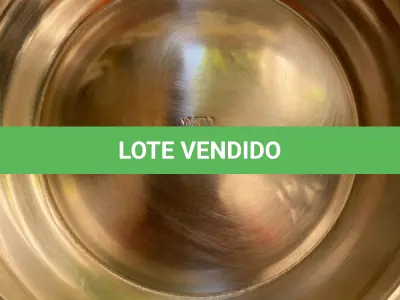 LOTE 334 - LINDA JARRA WOLF EM METAL ESPESSURADO A PRATA. (NO ESTADO)
