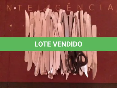 LOTE 405 - LOTE COM: 200 FACAS EM INOX (NO ESTADO)