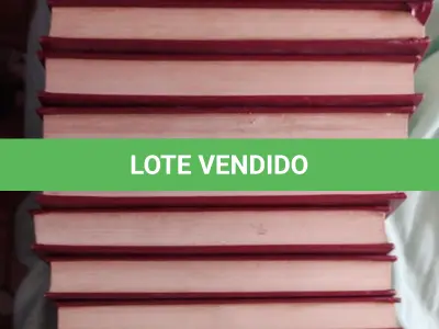 LOTE 611 - COLEÇÃO MONTEIRO LOBATO INFANTIL 17 VOLUMES - COMPLETA (NO ESTADO)