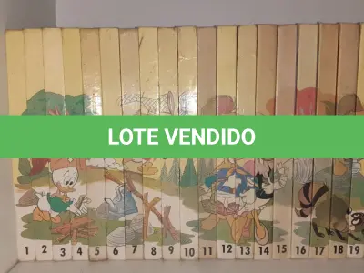 LOTE 595 - BIBLIOTECA DO ESCOTEIRO MIRIM - WALT DISNEY - 20 VOLUMES (NO ESTADO)