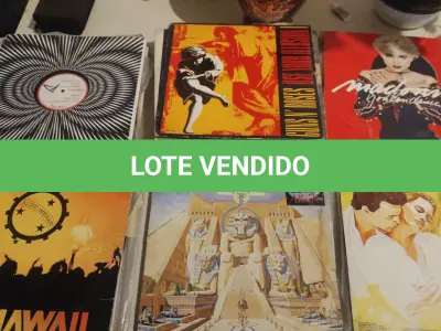 LOTE 457 - LOTE COM 75 LOS DIVERSOS (NO ESTADO)