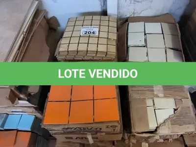 LOTE 204 - 01 LOTE COM PASTILHAS DIVERSAS TAMANHOS E CORES (NO ESTADO)