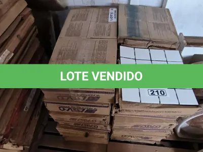 LOTE 210 - 01 LOTE COM PASTILHAS DIVERSOS (NO ESTADO)