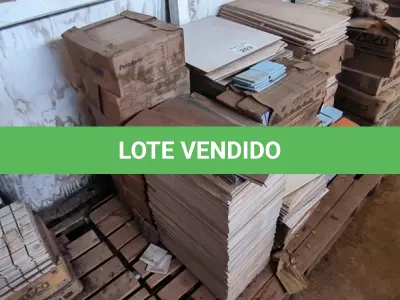 LOTE 203 - 01 LOTE COM PASTILHAS E PISOS DIVERSOS TAMANHOS E CORES (NO ESTADO)