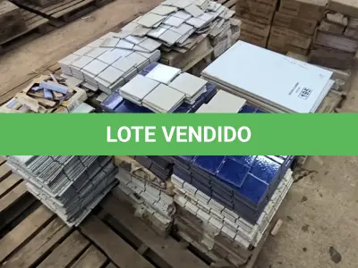 LOTE 195 - 01 LOTE COM PASTILHAS E PISOS DIVERSOS TAMANHOS E CORES (NO ESTADO)