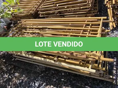 LOTE 029 - 01 LOTE COM GRADES EM FERRO AMARELAS (NO ESTADO)