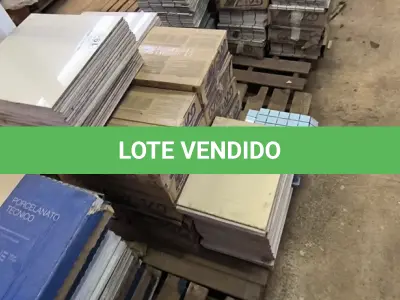 LOTE 194 - 01 LOTE COM PASTILHAS E PISOS DIVERSOS TAMANHOS E CORES (NO ESTADO)