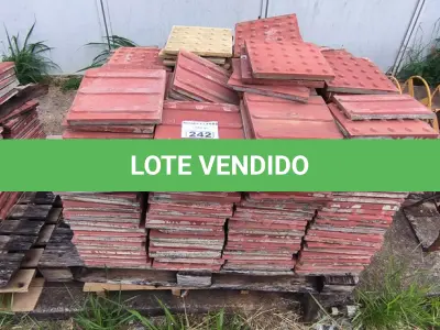 LOTE 242 - 01 LOTE COM PISO NICKA (NO ESTADO)