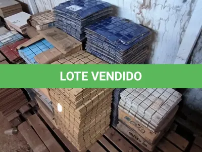 LOTE 202 - 01 LOTE COM PASTILHAS DIVERSAS TAMANHOS E CORES (NO ESTADO)