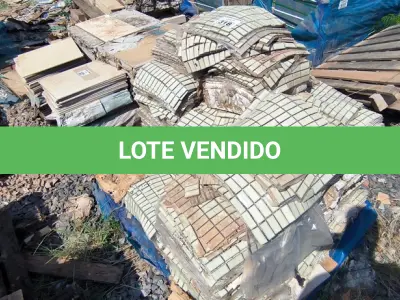 LOTE 318 - 01 LOTE COM PASTILHAS (NO ESTADO)