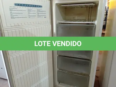 LOTE 307 - 01 FREEZER VERTICAL 220V. (NO ESTADO) ATENÇÃO! FAZER A VISITAÇÃO ANTES DE ARREMATAR, NÃO SABEMOS SE FUNCIONA. LEILÃO NÃO TEM GARANTIA E NEM DEVOLUÇÃO, SUJEITO A POSSÍVEIS AVARIAS VISÍVEIS/OCULTAS E/OU AUSÊNCIA DE COMPONENTES.