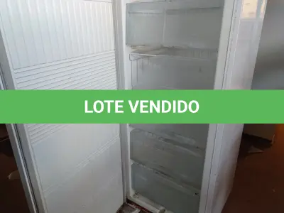 LOTE 338 - 01 FREEZER VERTICAL MARCA BRASTEMP 220V. (NO ESTADO) ATENÇÃO! FAZER A VISITAÇÃO ANTES DE ARREMATAR, NÃO SABEMOS SE FUNCIONA. LEILÃO NÃO TEM GARANTIA E NEM DEVOLUÇÃO, SUJEITO A POSSÍVEIS AVARIAS VISÍVEIS/OCULTAS E/OU AUSÊNCIA DE COMPONENTES.