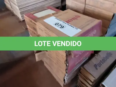 LOTE 079 - 01 LOTE COM REVESTIMENTOS ELIANA DIVERSOS (NO ESTADO, NÃO SABEMOS SE FUNCIONA. LEILÃO NÃO TEM GARANTIA E NEM DEVOLUÇÃO).