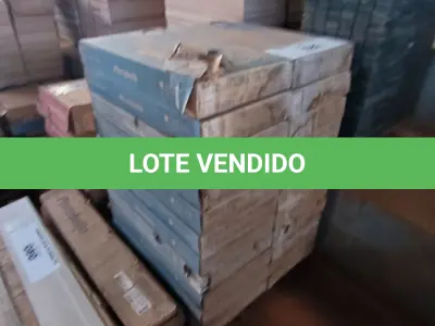 LOTE 187 - 22 CAIXAS DE REVESTIMENTO 30X60 PORTOBELLO (NO ESTADO, NÃO SABEMOS SE FUNCIONA. LEILÃO NÃO TEM GARANTIA E NEM DEVOLUÇÃO).
