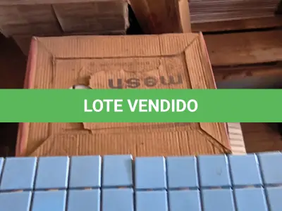 LOTE 120 - 01 LOTE COM PASTILHAS AZUL CLARO E REVESTIMENTO ELIANA (NO ESTADO, NÃO SABEMOS SE FUNCIONA. LEILÃO NÃO TEM GARANTIA E NEM DEVOLUÇÃO).