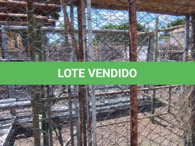 LOTE 227 - 01 LOTE COM GRADES DE ALAMBRADO (NO ESTADO, NÃO SABEMOS SE FUNCIONA. LEILÃO NÃO TEM GARANTIA E NEM DEVOLUÇÃO).