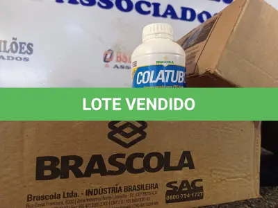 LOTE 072 - 02 CAIXAS COM COLA TUBO ST 175G COM 15 UNIDADES CADA. (NO ESTADO) ATENÇÃO! FAZER A VISITAÇÃO ANTES DE ARREMATAR, NÃO SABEMOS SE FUNCIONA. LEILÃO NÃO TEM GARANTIA E NEM DEVOLUÇÃO, SUJEITO A POSSÍVEIS AVARIAS VISÍVEIS/OCULTAS E/OU AUSÊNCIA DE COMPONENTES.