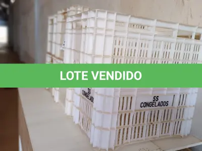 LOTE 005 - CAIXAS PLÁSTICAS DIVERSOS TAMANHOS. (NO ESTADO DE CONSERVAÇÃO QUE SE ENCONTRA. LEILÃO NÃO TEM GARANTIA E NEM DEVOLUÇÃO).
