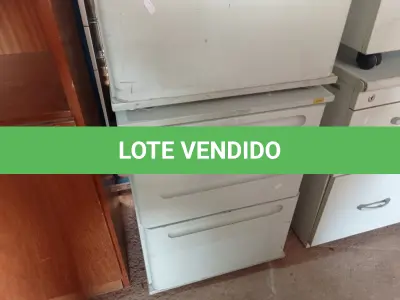 LOTE 311 - 02 GAVETEIROS COM 03 GAVETAS. (NO ESTADO) ATENÇÃO! FAZER A VISITAÇÃO ANTES DE ARREMATAR, NÃO SABEMOS SE FUNCIONA. LEILÃO NÃO TEM GARANTIA E NEM DEVOLUÇÃO, SUJEITO A POSSÍVEIS AVARIAS VISÍVEIS/OCULTAS E/OU AUSÊNCIA DE COMPONENTES.