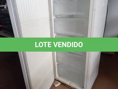 LOTE 276 - 01 FREEZER VERTICAL MARCA ELECTROLUX 220V. (NO ESTADO) ATENÇÃO! FAZER A VISITAÇÃO ANTES DE ARREMATAR, NÃO SABEMOS SE FUNCIONA. LEILÃO NÃO TEM GARANTIA E NEM DEVOLUÇÃO, SUJEITO A POSSÍVEIS AVARIAS VISÍVEIS/OCULTAS E/OU AUSÊNCIA DE COMPONENTES.