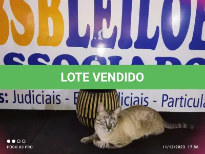 LOTE 018 - 01 - VASO DE MADEIRA TRABALHADA (NO ESTADO, NÃO SABEMOS SE FUNCIONA. LEILÃO NÃO TEM GARANTIA E NEM DEVOLUÇÃO, SUJEITO A POSSÍVEIS AVARIAS VISÍVEIS/OCULTAS E/OU AUSÊNCIA DE COMPONENTES)