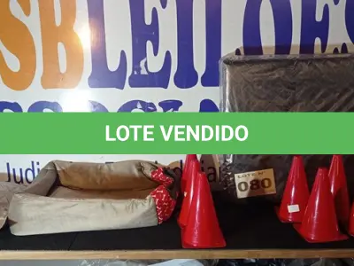 LOTE 080 - 25 – ITENS PARA PET.(APROXIMADAMENTE) (NO ESTADO, NÃO SABEMOS SE FUNCIONA. LEILÃO NÃO TEM GARANTIA E NEM DEVOLUÇÃO, SUJEITO A POSSÍVEIS AVARIAS VISÍVEIS/OCULTAS E/OU AUSÊNCIA DE COMPONENTES)