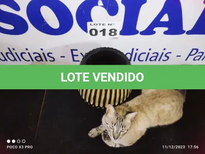 LOTE 018 - 01 - VASO DE MADEIRA TRABALHADA (NO ESTADO, NÃO SABEMOS SE FUNCIONA. LEILÃO NÃO TEM GARANTIA E NEM DEVOLUÇÃO, SUJEITO A POSSÍVEIS AVARIAS VISÍVEIS/OCULTAS E/OU AUSÊNCIA DE COMPONENTES)