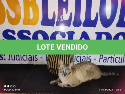 LOTE 018 - 01 - VASO DE MADEIRA TRABALHADA (NO ESTADO, NÃO SABEMOS SE FUNCIONA. LEILÃO NÃO TEM GARANTIA E NEM DEVOLUÇÃO, SUJEITO A POSSÍVEIS AVARIAS VISÍVEIS/OCULTAS E/OU AUSÊNCIA DE COMPONENTES)