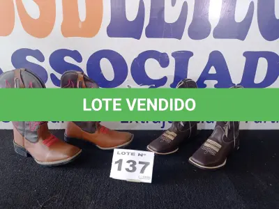LOTE 137 - 02 - BOTA COUNTRY (NO ESTADO, NÃO SABEMOS SE FUNCIONA. LEILÃO NÃO TEM GARANTIA E NEM DEVOLUÇÃO, SUJEITO A POSSÍVEIS AVARIAS VISÍVEIS/OCULTAS E/OU AUSÊNCIA DE COMPONENTES)