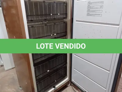 LOTE 229 - 01 FREEZER VERTICAL MARCA CÔNSUL. (NO ESTADO) ATENÇÃO! FAZER A VISITAÇÃO ANTES DE ARREMATAR, NÃO SABEMOS SE FUNCIONA. LEILÃO NÃO TEM GARANTIA E NEM DEVOLUÇÃO, SUJEITO A POSSÍVEIS AVARIAS VISÍVEIS/OCULTAS E/OU AUSÊNCIA DE COMPONENTES.