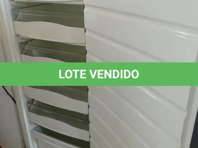 LOTE 284 - 01 FREEZER VERTICAL MARCA BRASTEMP 220V. (NO ESTADO) ATENÇÃO! FAZER A VISITAÇÃO ANTES DE ARREMATAR, NÃO SABEMOS SE FUNCIONA. LEILÃO NÃO TEM GARANTIA E NEM DEVOLUÇÃO, SUJEITO A POSSÍVEIS AVARIAS VISÍVEIS/OCULTAS E/OU AUSÊNCIA DE COMPONENTES.