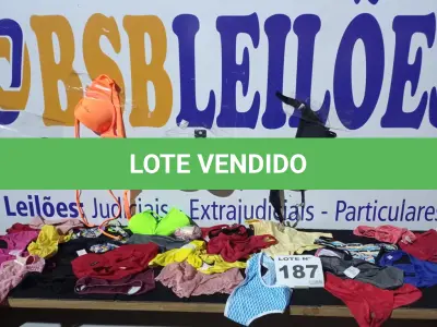 LOTE 187 - 90 – PEÇAS INTIMAS FEMININAS (APROXIMADAMENTE) (NO ESTADO, NÃO SABEMOS SE FUNCIONA. LEILÃO NÃO TEM GARANTIA E NEM DEVOLUÇÃO, SUJEITO A POSSÍVEIS AVARIAS VISÍVEIS/OCULTAS E/OU AUSÊNCIA DE COMPONENTES)