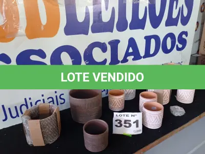 LOTE 351 - 11 – VASOS DE ARGILA (NO ESTADO, NÃO SABEMOS SE FUNCIONA. LEILÃO NÃO TEM GARANTIA E NEM DEVOLUÇÃO, SUJEITO A POSSÍVEIS AVARIAS VISÍVEIS/OCULTAS E/OU AUSÊNCIA DE COMPONENTES)