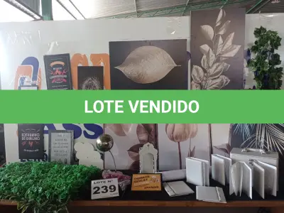 LOTE 239 - 20- ITENS DE DECORAÇÃO DIVERSOS (APROXIMADAMENTE)(NO ESTADO, NÃO SABEMOS SE FUNCIONA. LEILÃO NÃO TEM GARANTIA E NEM DEVOLUÇÃO, SUJEITO A POSSÍVEIS AVARIAS VISÍVEIS/OCULTAS E/OU AUSÊNCIA DE COMPONENTES)
