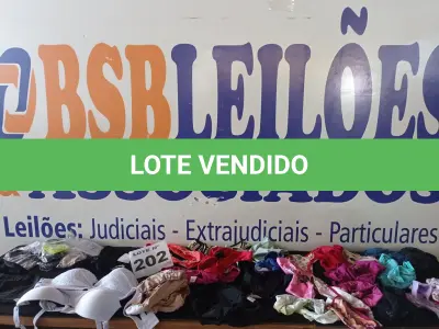 LOTE 202 - 62 – PEÇAS INTIMAS FEMININAS (APROXIMADAMENTE)(NO ESTADO, NÃO SABEMOS SE FUNCIONA. LEILÃO NÃO TEM GARANTIA E NEM DEVOLUÇÃO, SUJEITO A POSSÍVEIS AVARIAS VISÍVEIS/OCULTAS E/OU AUSÊNCIA DE COMPONENTES)