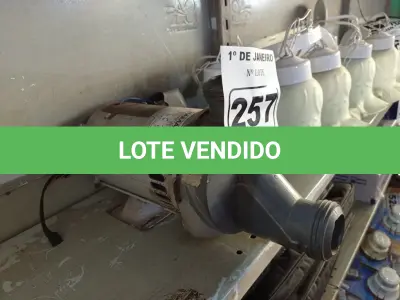 LOTE 257 - 01 BOMBA PARA BANHEIRA DE HIDROMASSAGEM. (NO ESTADO) ATENÇÃO! FAZER A VISITAÇÃO ANTES DE ARREMATAR, NÃO SABEMOS SE FUNCIONA. LEILÃO NÃO TEM GARANTIA E NEM DEVOLUÇÃO, SUJEITO A POSSÍVEIS AVARIAS VISÍVEIS/OCULTAS E/OU AUSÊNCIA DE COMPONENTES.