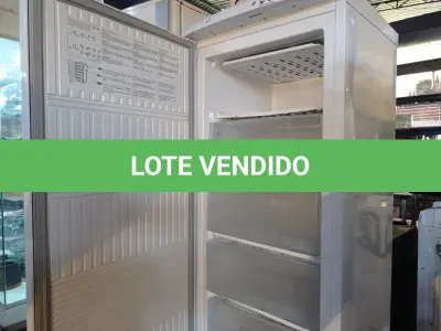 LOTE 289 - 01 FREEZER VERTICAL MARCA ELECTROLUX 220V. (NO ESTADO) ATENÇÃO! FAZER A VISITAÇÃO ANTES DE ARREMATAR, NÃO SABEMOS SE FUNCIONA. LEILÃO NÃO TEM GARANTIA E NEM DEVOLUÇÃO, SUJEITO A POSSÍVEIS AVARIAS VISÍVEIS/OCULTAS E/OU AUSÊNCIA DE COMPONENTES.
