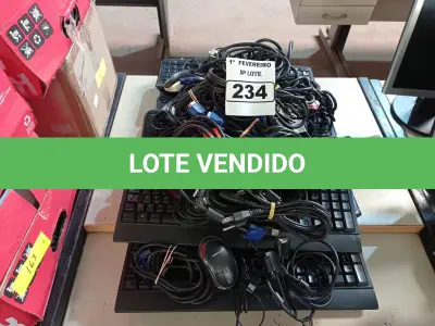 LOTE 234 - 01 LOTE COM VÁRIOS TECLADOS, CABOS DE FORÇA, MOUSES E CABOS DE VÍDEO MARCAS E MODELOS DIVERSOS. (NO ESTADO) ATENÇÃO! FAZER A VISITAÇÃO ANTES DE ARREMATAR, NÃO SABEMOS SE FUNCIONA. LEILÃO NÃO TEM GARANTIA E NEM DEVOLUÇÃO, SUJEITO A POSSÍVEIS AVARIAS VISÍVEIS/OCULTAS E/OU AUSÊNCIA DE COMPONENTES.